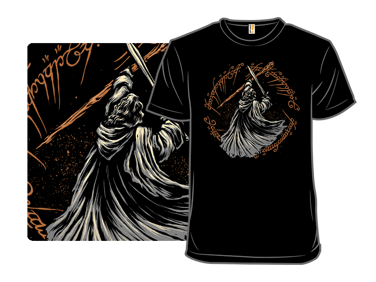 Destiny Of The Wizard