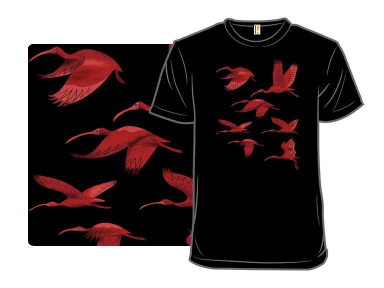 Flock of Flamingos